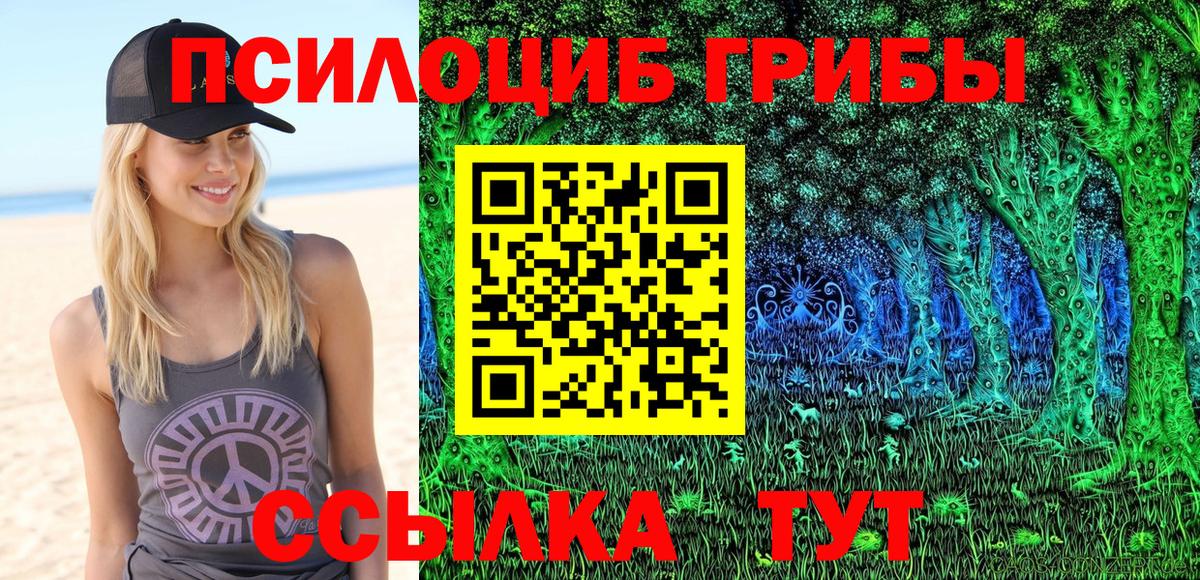 Альметьевск  Псилоцибиновые грибы прущие грибы  Вход с VPN  Псилоцибиновые грибы Psilocybine cubensis 